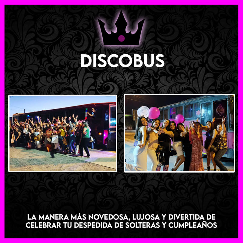 discobus despedidas de solteras
